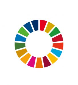 SDG_s